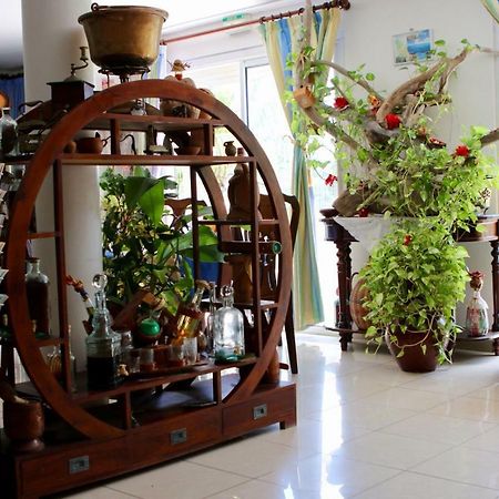 Bed & Breakfast 6 Suites Piscine Et Plage Pointe Faula Le Vauclin Esterno foto