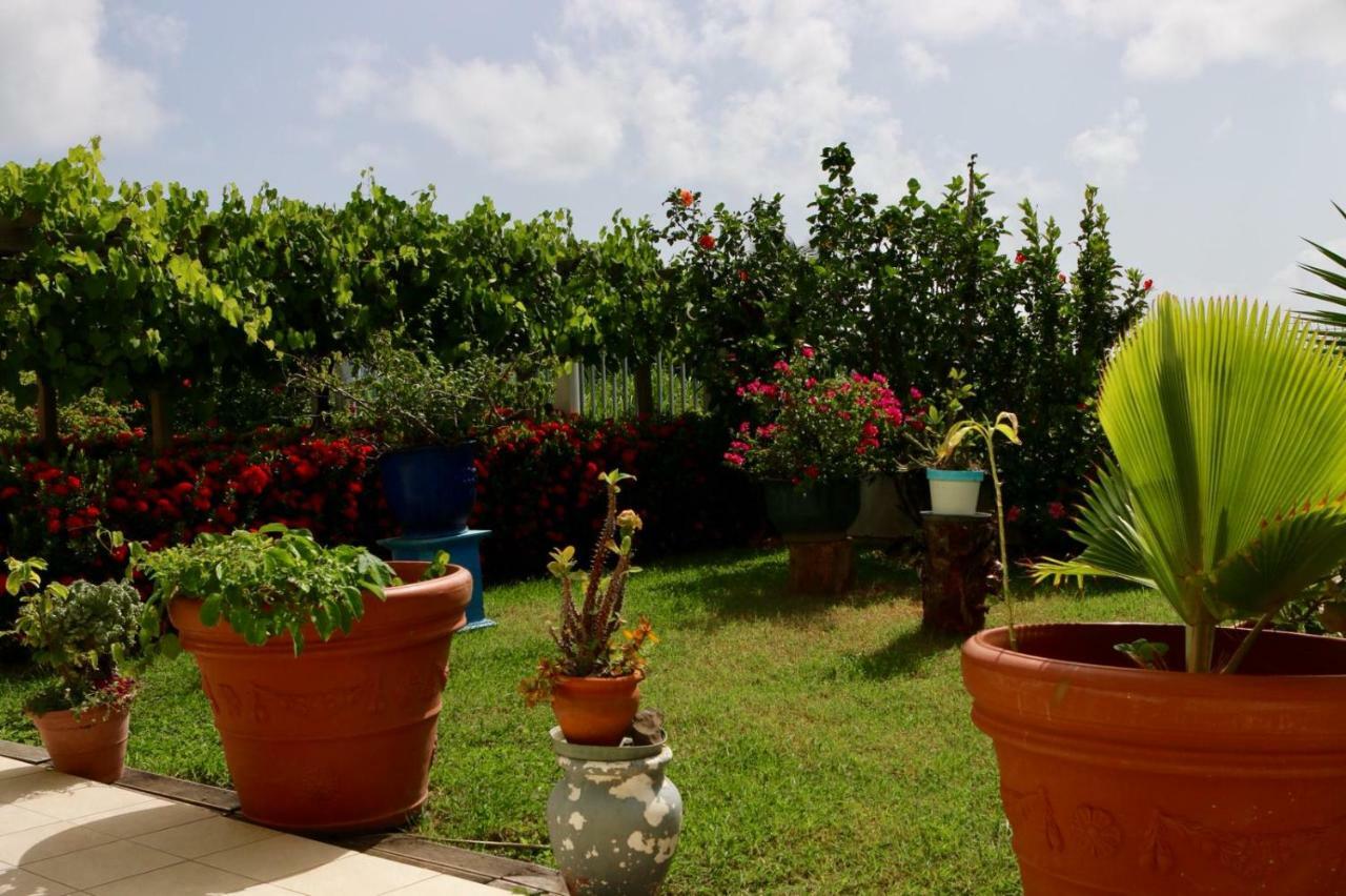 Bed & Breakfast 6 Suites Piscine Et Plage Pointe Faula Le Vauclin Esterno foto