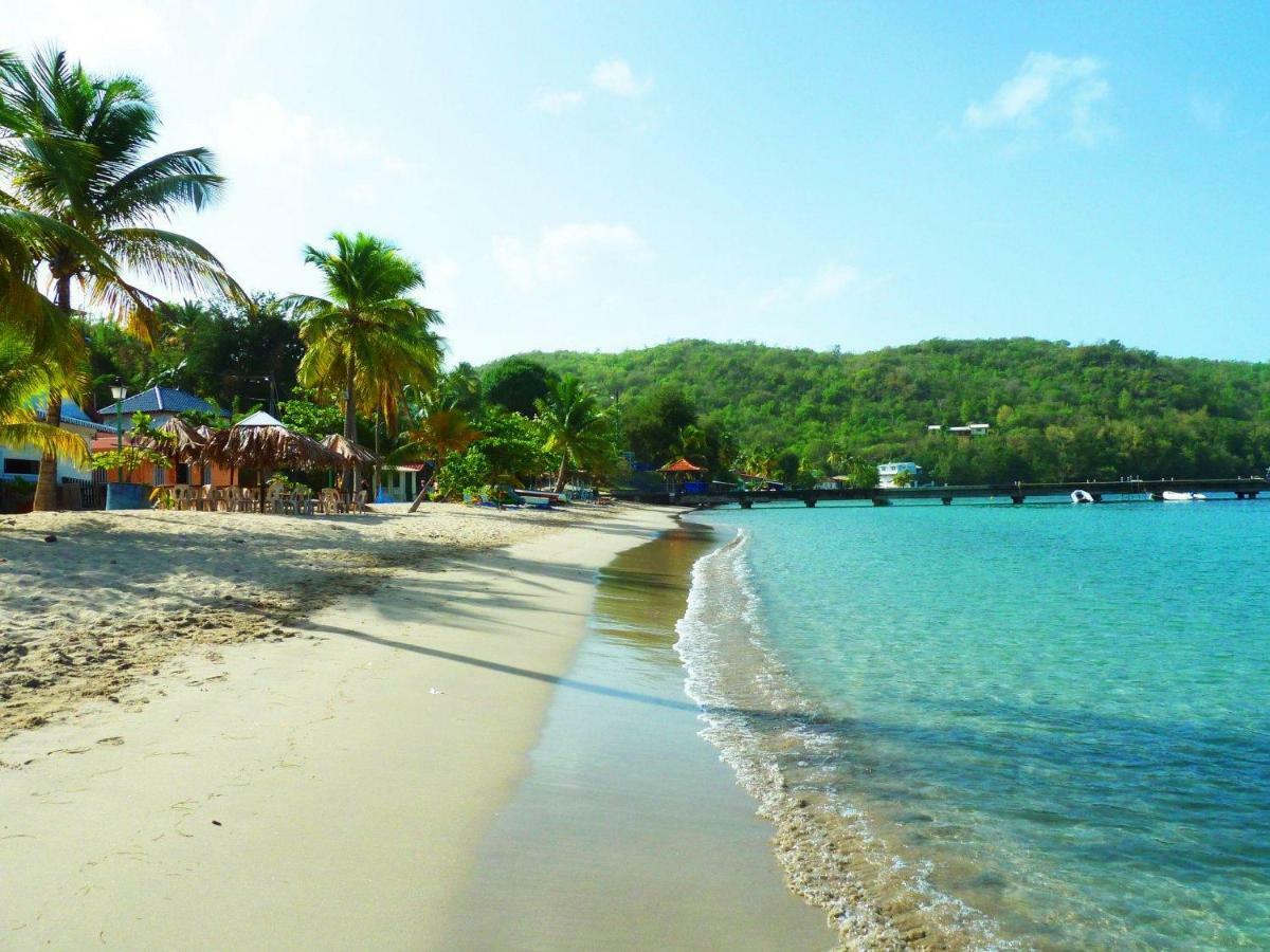 Bed & Breakfast 6 Suites Piscine Et Plage Pointe Faula Le Vauclin Esterno foto